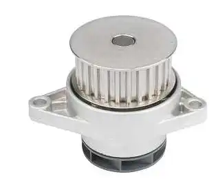 BOMBA DAGUA GOL PLUS MOTOR AT 1000 16V