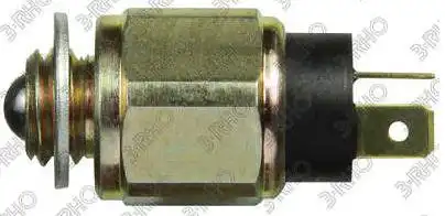 INTER RE CHEVETTE, OPALA