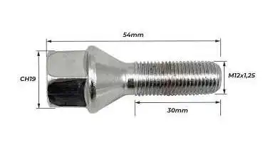 PARAFUSO RODA FIAT PALIO CROMADO