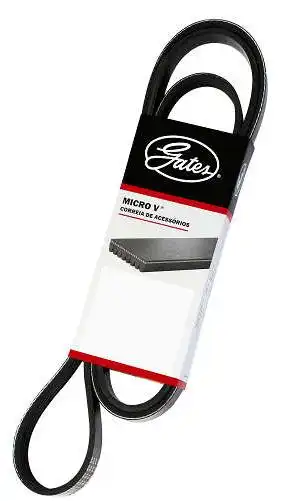 CORREIA ALT FOCUS 1.6 04/ ECOSPORT 1.6 2.0 16V 03/