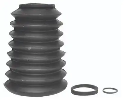 SANFONA SETOR CORCEL DEL REY TODOS