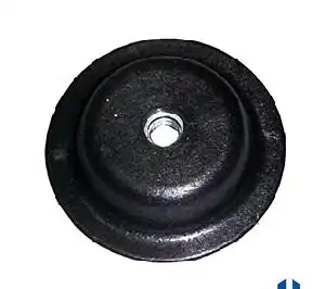 PORCA ESTEPE GOL /94