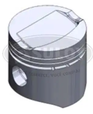 PISTAO ANEL FIAT PALIO 1.0 MPI 1996 A 2000 0.40