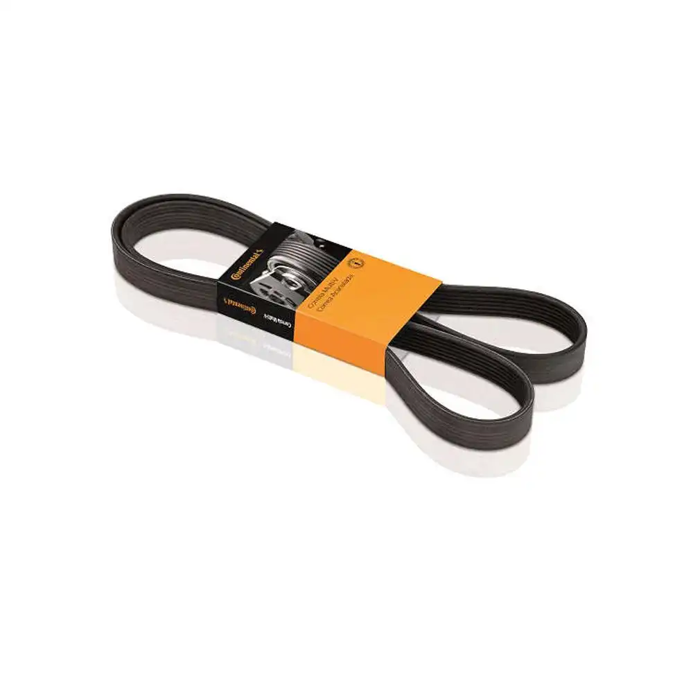 CORREIA ALT FOCUS 2.0 16V 2000/