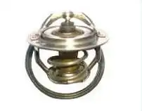 VALVULA TERMOSTATICA RENAULT FLUENCE 2.0 16V 2011 A 2019 SEC