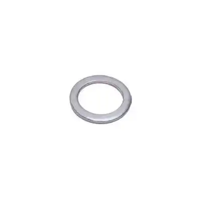 ARRUELA BUJAO CARTER F-1000