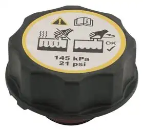 TAMPA RESERV.DAGUA RADIADOR FOCUS 09/ FUSION ECOSPORT 13/