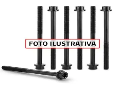 PARAFUSO CABECOTE PEUGEOT 106 206 307 PARTNER 96/ CITROEN BE