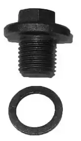 BUJAO CARTER CORCEL II DEL REY PAMPA ESCORT