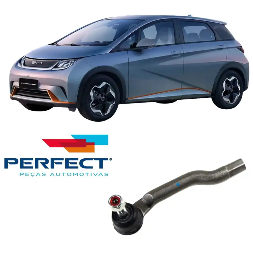 PONTEIRA DIRECAO DOLPHIN 2024 A 2025 DIREITA