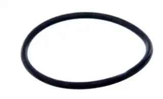 JUNTA VALVULA TERMOSTATICA S-10 2.8 MWM 2001 EM DIANTE (ANEL